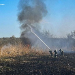 На Миколаївщині збільшилася кількість пожеж в екосистемах. Фото: ГУ ДСНС