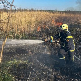 В Николаевской области увеличилось количество пожаров в экосистемах. Фото: ГУ ГСЧС