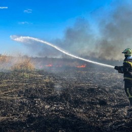 В Николаевской области увеличилось количество пожаров в экосистемах. Фото: ГУ ГСЧС
