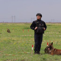 Mine-detecting Belgian sheepdogs Alf and Quad are demining the Mykolaiv Oblast / Photo: DSNS