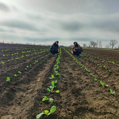 Аграрии Николаевщины стартовали с посевом овощей, фото: ПАЭК
