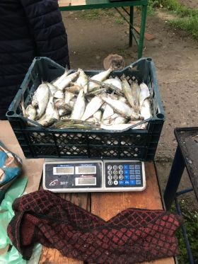 На Миколаївщині виявили рибалок, які здійснювали незаконний вилов риби. Фото: Держекоінспекція