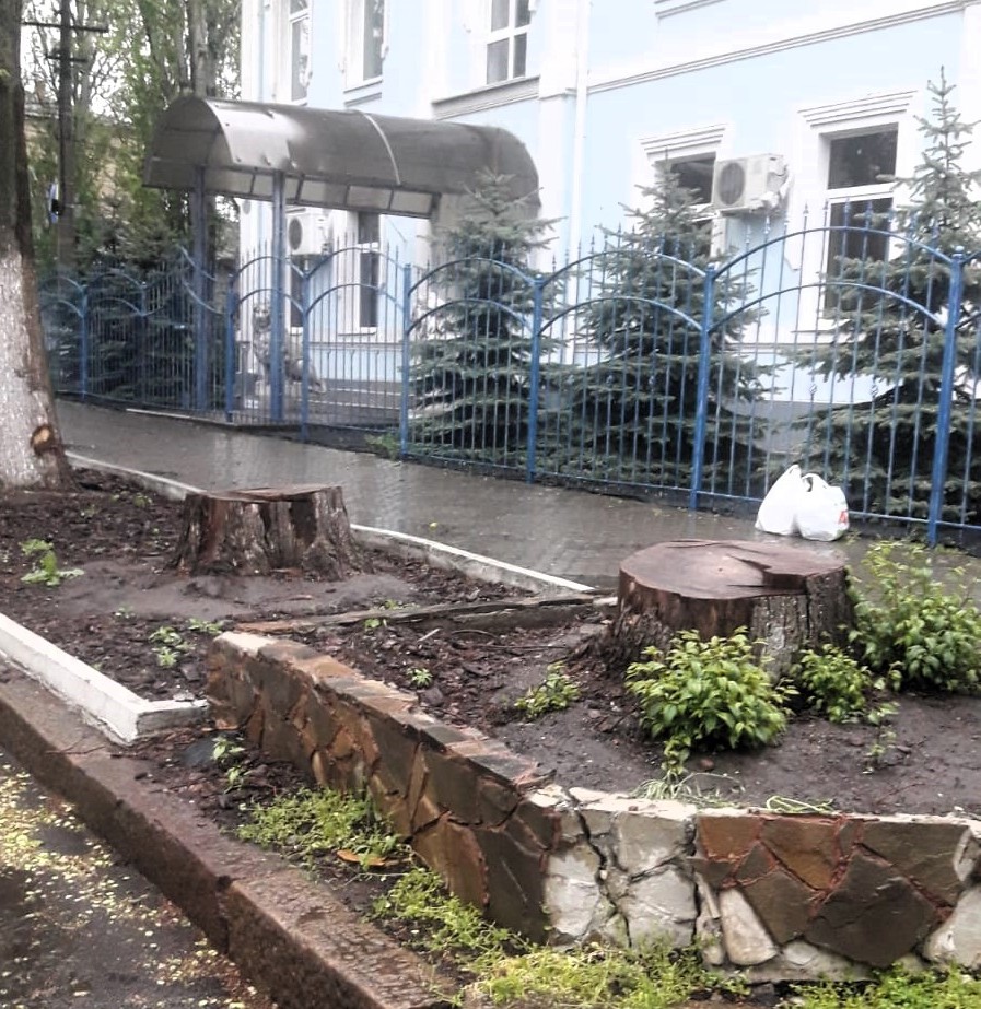 В Центре Николаева спилили три здоровых дерева