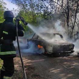 Пожежі на Миколаївщині 29-30 квітня / Фото: ДСНС Миколаївської області