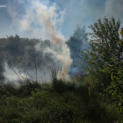 Тушение пожаров в Николаевской области. Фото: ГСЧС