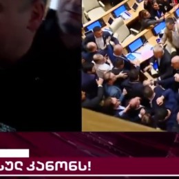 Драка у парламенті Грузії. Скриншот відео.