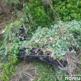 Разобрал крышу гаража и угнал мопед: жителю Николаевщины объявили подозрение. Фото: полиция