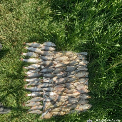 Правоохоронці викрили 36 порушень рибальства на Миколаївщині / Фото: Нацполіція