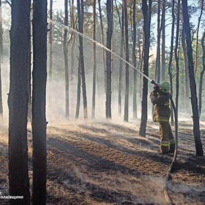 Ліквідація пожежі в Балабанівському лісі