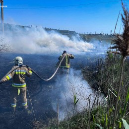 На Миколаївщині зросла кількість пожеж в екосистемах / Фото: ДСНС