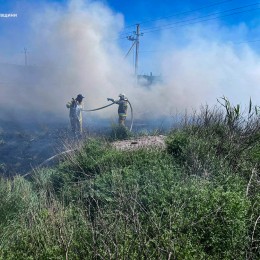 В Николаевской области возросло количество пожаров в экосистемах / Фото: ГСЧС