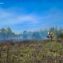 На Миколаївщині зросла кількість пожеж в екосистемах / Фото: ДСНС