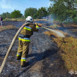 Дві пожежі сухої трави у Миколаївській області 10 червня / Фото: ДСНС