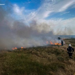 Пожар сухостоя в Николаевской области / Фото: ГСЧС