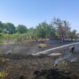 Пожар сухостоя в Николаевской области 11 июня / Фото: ГСЧС Николаевской области