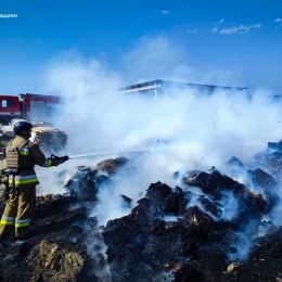 Пожар сухостоя в Николаевской области 11 июня / Фото: ГСЧС Николаевской области
