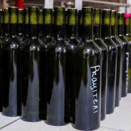 Вина, що зберігають в сховищі виноробні, фото: Аліна Квітко, «НикВести»