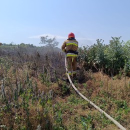 Пожежа на полі в Миколаївській області 20 червня / Фото: ДСНС