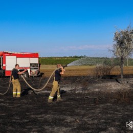 Пожар в экосистемах Николаевской области / Фото: ГСЧС Николаевской области