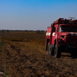 Fire in the ecosystems of the Mykolaiv region / Photo: State Emergency Service of the Mykolaiv region