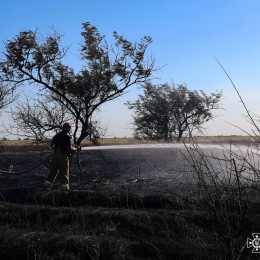 Fire in the ecosystems of the Mykolaiv region / Photo: State Emergency Service of the Mykolaiv region