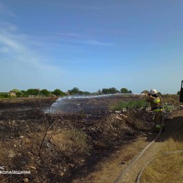 Пожары на Николаевщине 23 июня / Фото: ГСЧС Николаевской области