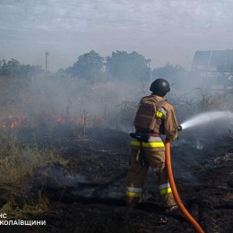 На Миколаївщині 25 червня виникло 14 пожеж у природних екосистемах / Фото: ДСНС