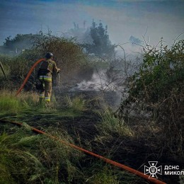На Миколаївщині 25 червня виникло 14 пожеж у природних екосистемах / Фото: ДСНС