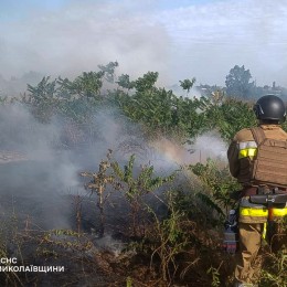 В Николаевской области 25 июня возникло 14 пожаров в природных экосистемах / Фото: ГСЧС