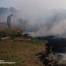 В Николаевской области 25 июня возникло 14 пожаров в природных экосистемах / Фото: ГСЧС