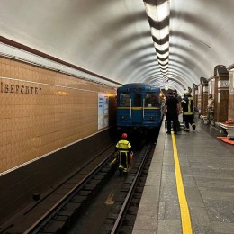 У київському метро пасажир потрапив під потяг / Фото: ДСНС