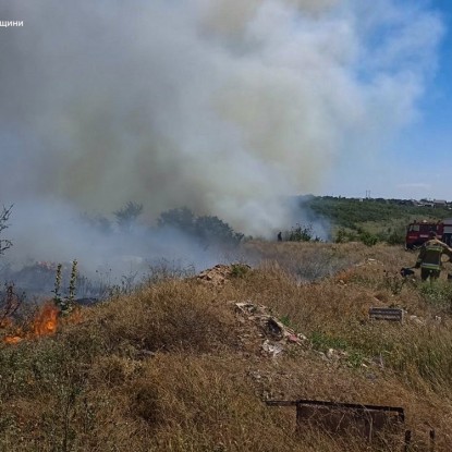 Пожар в Николаевской области 26 июня / Фото: ГСЧС