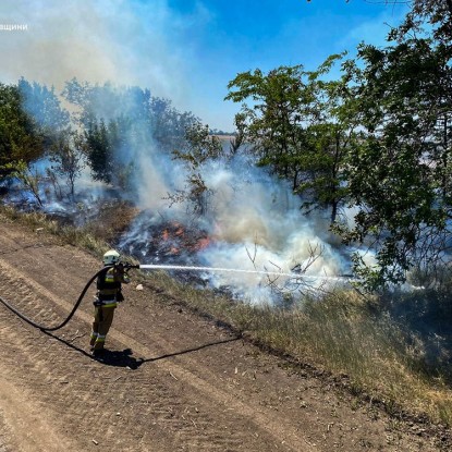 Пожежа в Миколаївській області 26 червня / Фото: ДСНС