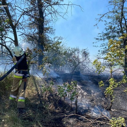 Пожежа в Миколаївській області 26 червня / Фото: ДСНС