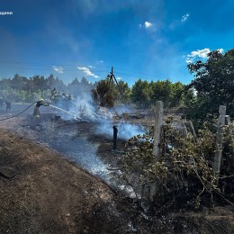 Пожежі на Миколаївщині 28 червня. Фото: ДСНС