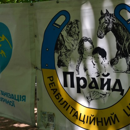 В Николаеве 29 июня прошла выставка-устройство животных. Фото: «НикВести»