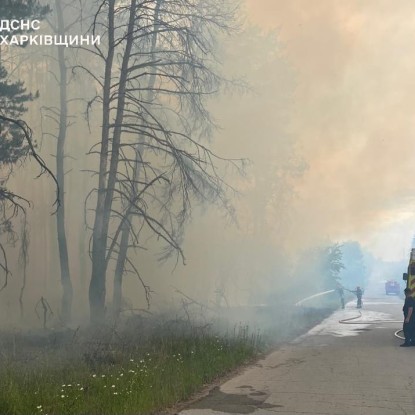 На Харківщині через російські обстріли палають понад 4300 га лісу / Фото: ДСНС Харківщини