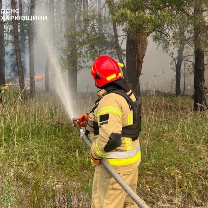 На Харківщині через російські обстріли палають понад 4300 га лісу / Фото: ДСНС Харківщини