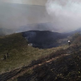 Пожары в Николаевской области / Фото: ГСЧС