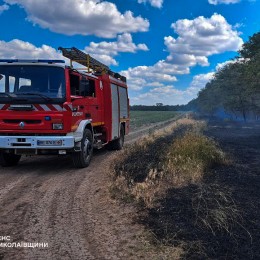 Пожары в Николаевской области / Фото: ГСЧС