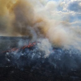 Пожежі в Миколаївській області / Фото: ДСНС