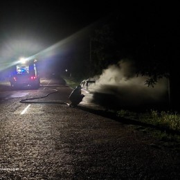 Вогнеборці 3 червня ліквідували сім пожеж на Миколаївщині / Фото: ДСНС