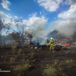 Пожары в Николаевской области 30 июня / Фото: ГСЧС