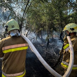 Вогнеборці гасять пожежу на Миколаївщині. Фото: ГУ ДСНС у Миколаївській області