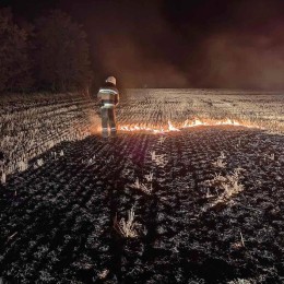 Пожарные тушат пожар на Николаевщине. Фото: ГУ ГСЧС в Николаевской области