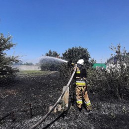 В Николаевской области 14 июля пожары тушили 220 пожарных / Фото: ГСЧС Николаевской области