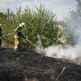 У Миколаєві та області 16 липня ліквідували 49 пожеж / Фото: ДСНС Миколаївщини