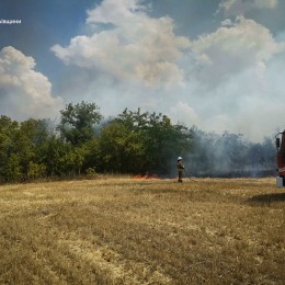 В Николаеве и области 16 июля ликвидировали 49 пожаров / Фото: ГСЧС Николаевской области