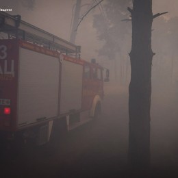 В Николаевской области загорелось Баловно-Матвеевское лесное урочище / Фото: ГСЧС