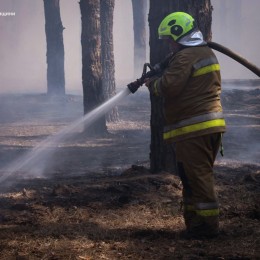 На Миколаївщині загорілося Баловно-Матвіївське лісове урочище / Фото: ДСНС